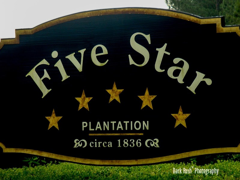 Five Star Preserve - Photo 4