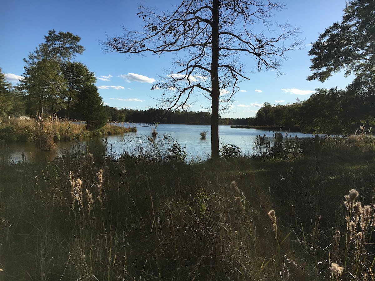 Five Star Preserve