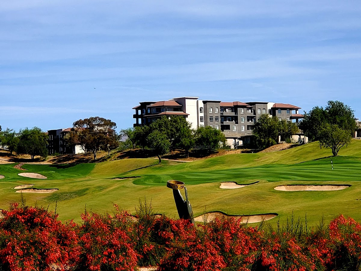The Westin Kierland Resort & Spa, dog-friendly hotel, photo 4