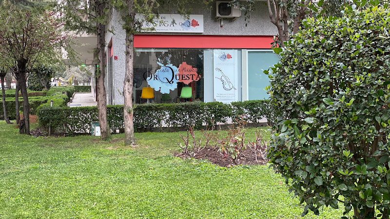 Escuela de Música Orquesta - Clases de Música en Madrid