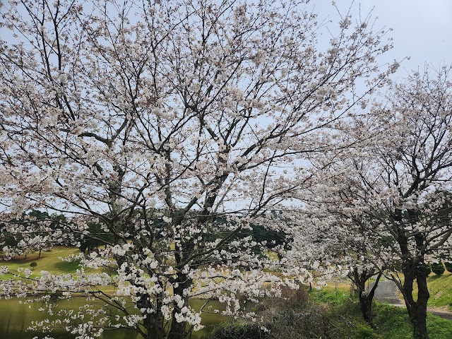 Kumamoto Minami Country Club - Photo 6