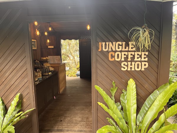 Jungle Coffee Shop - Photo 1