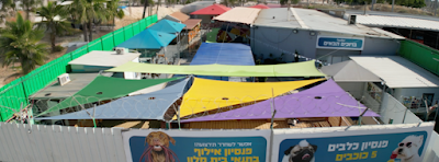 רנתור Rantor - פנסיון כלבים | אילוף כלבים | פנסיון אילוף באר שבע