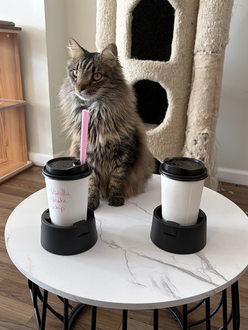 Mugs 'N Mittens photo 4