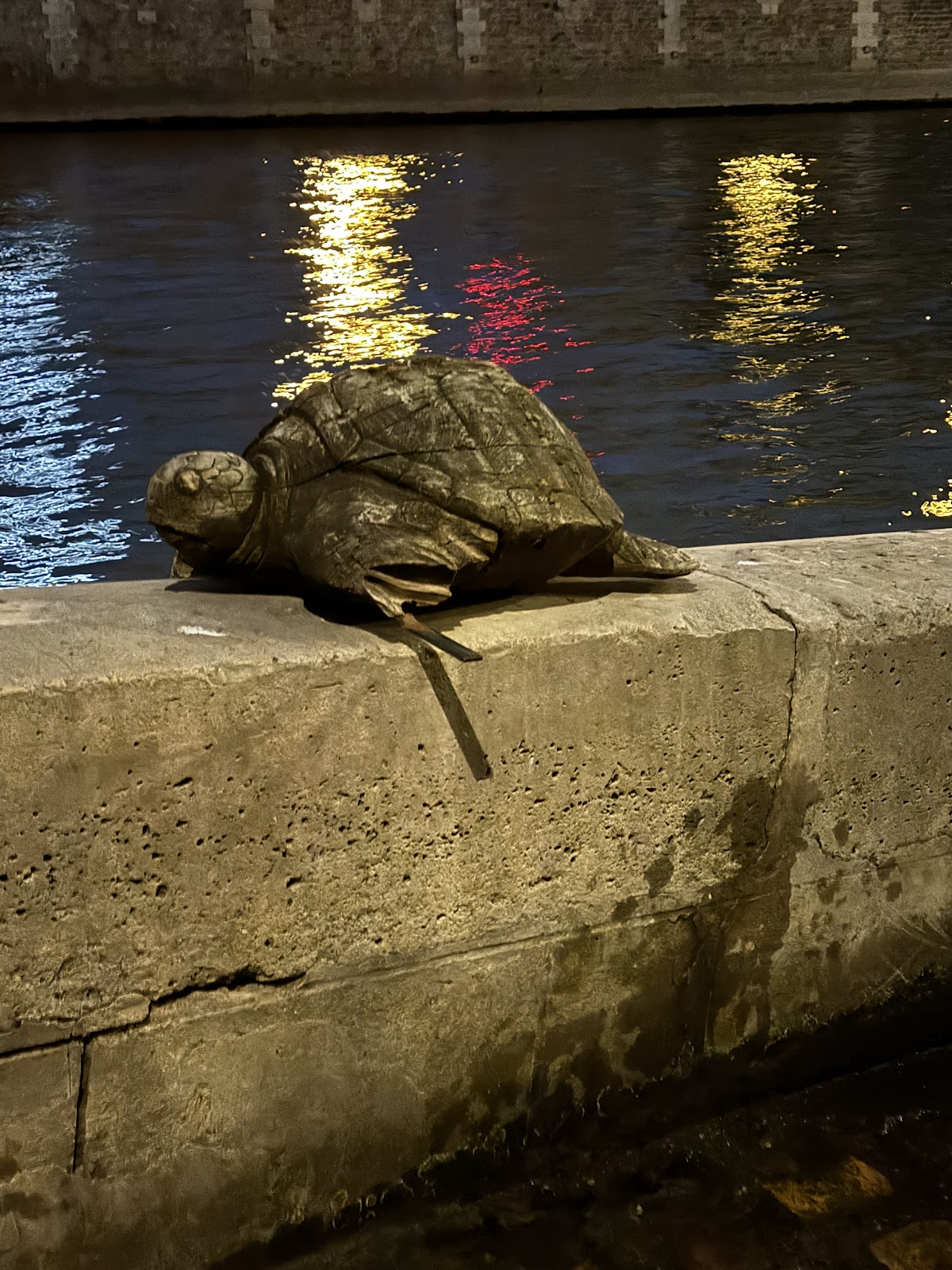 Turtle de Seine