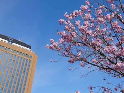 Ishikawa Prefectural Science Museum - 6