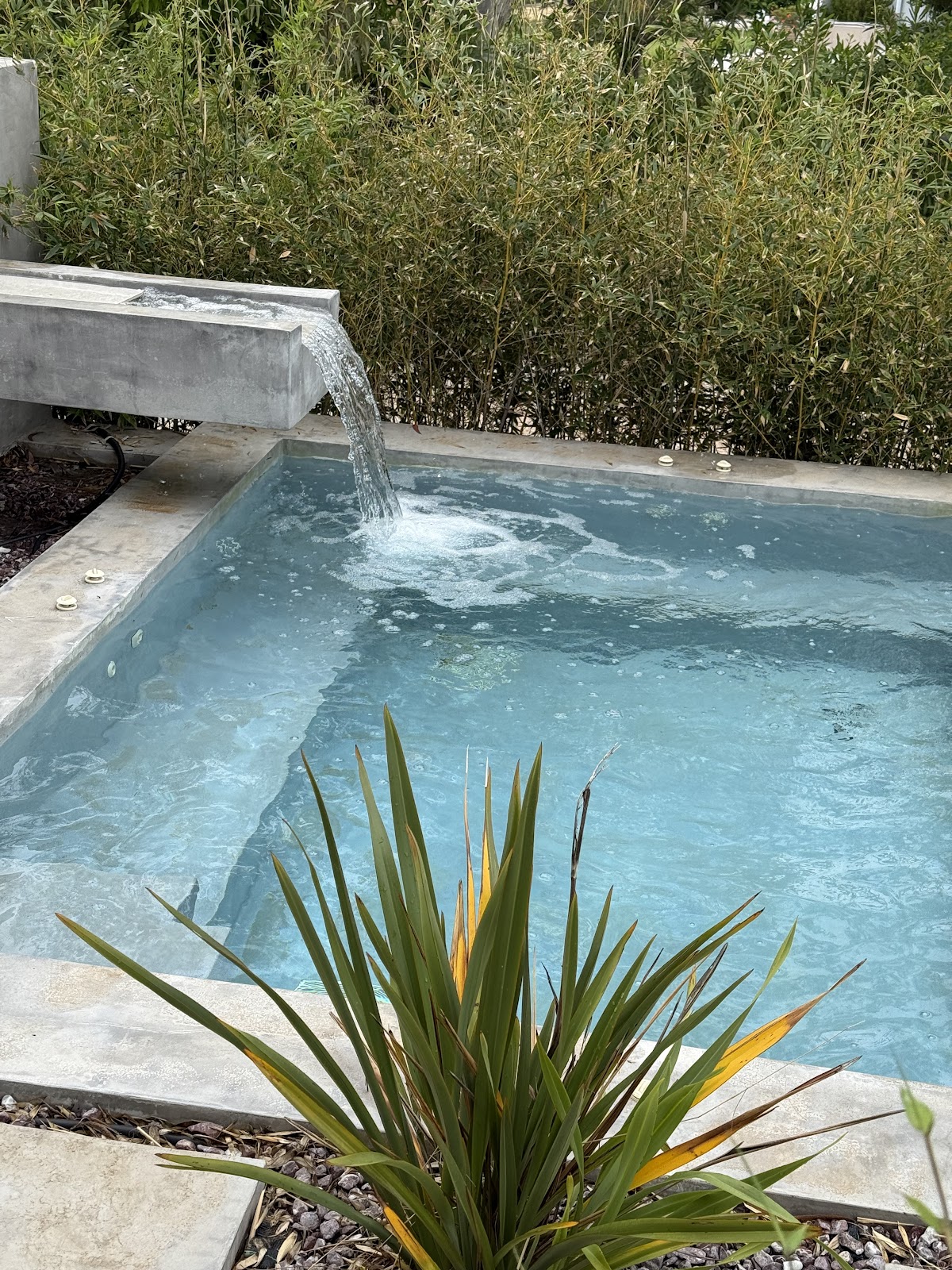 Allure Wellness Retreat — 4