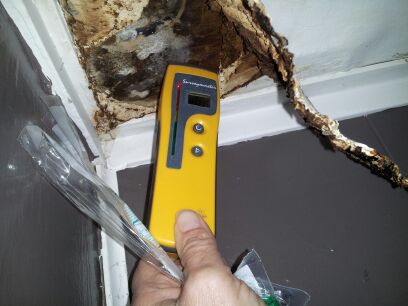 Minnesota Mold Inspection, LLC — photo