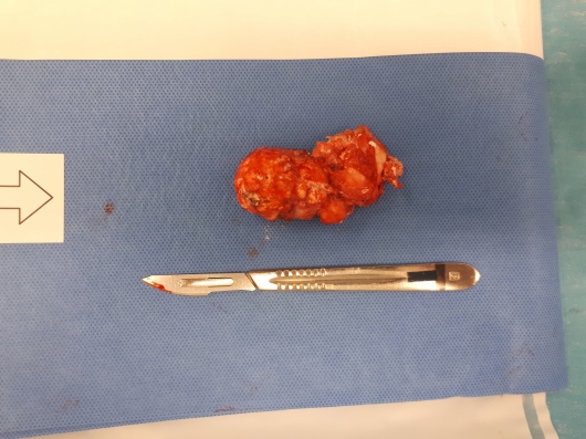 Foto de Dr. Alexandre Santos Alves, Ortopedista - Traumatologista