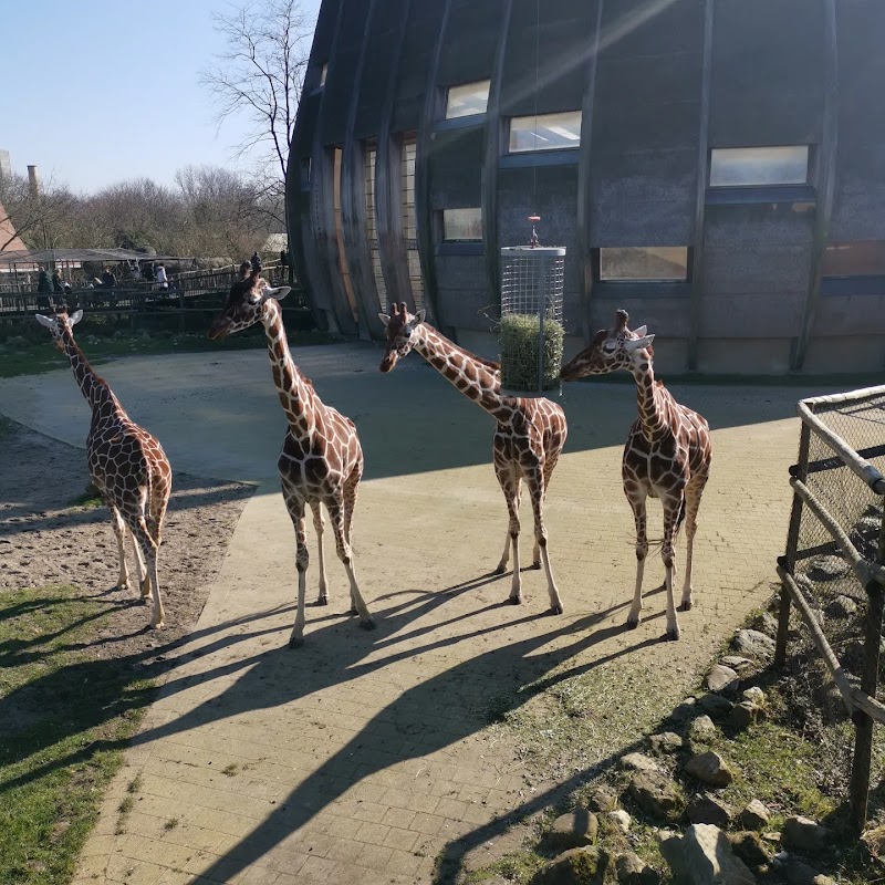 Diergaarde Blijdorp