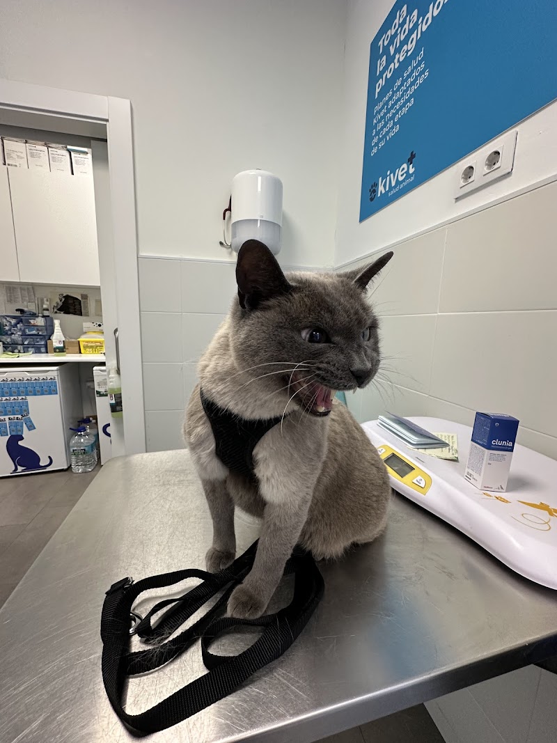 Kivet Clínicas Veterinarias