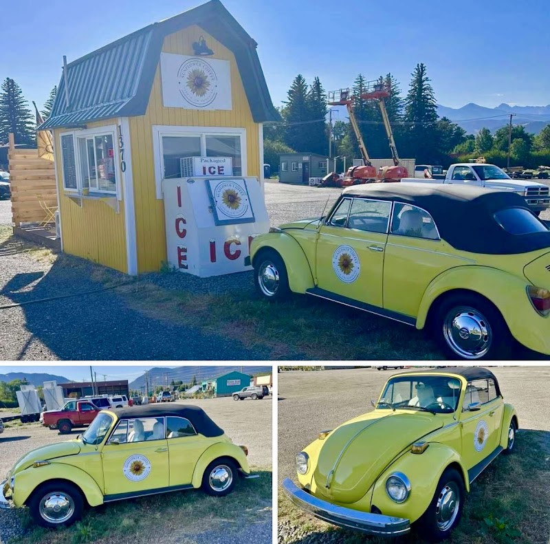 Sunflower Coffee photo 2