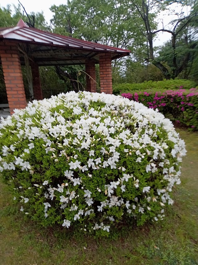 Takinomiya Country Club - Photo 10