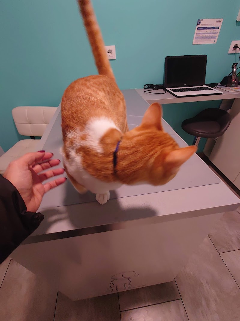 Centro Veterinario Nos photo 5