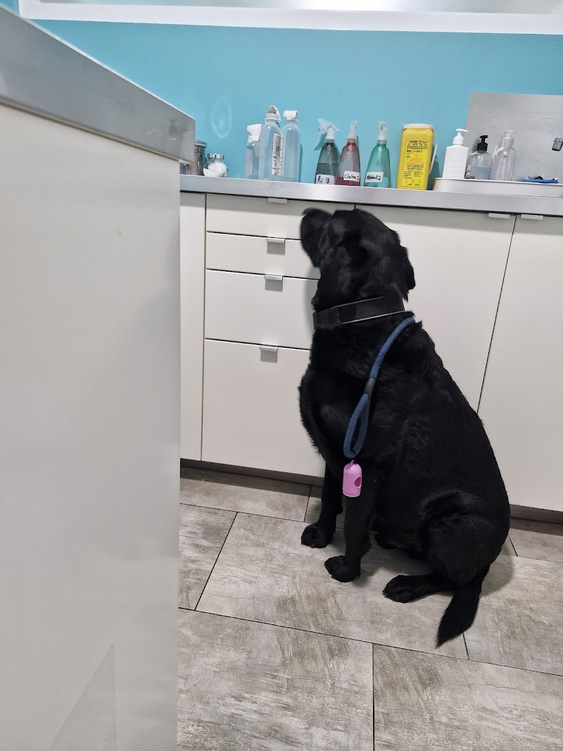 Centro Veterinario Nos photo 4