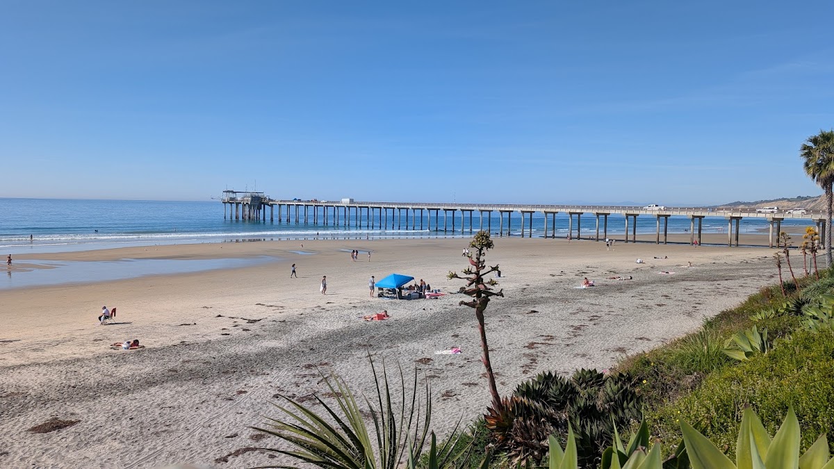 Scripps Seaside Forum: Google Places image 3