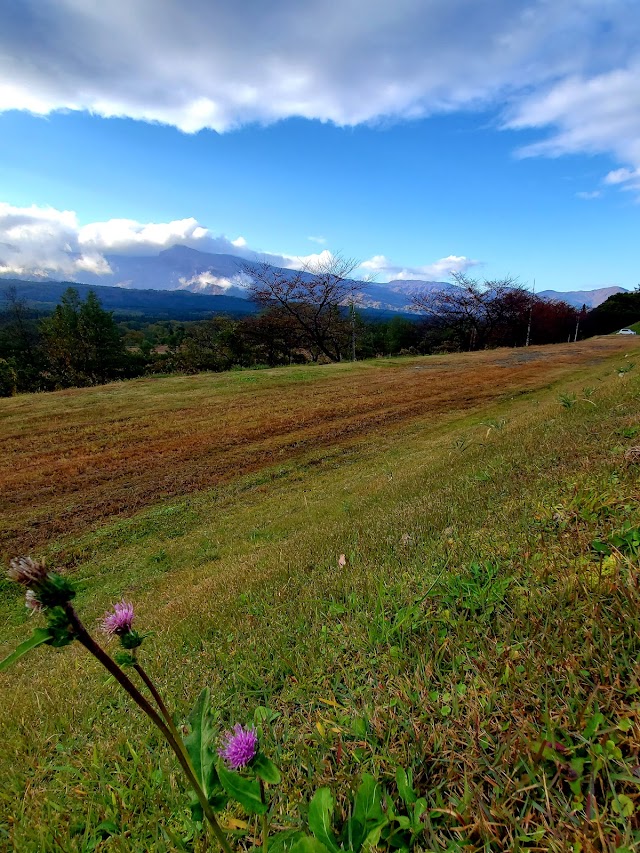 Matsugamine Country Club - Photo 9