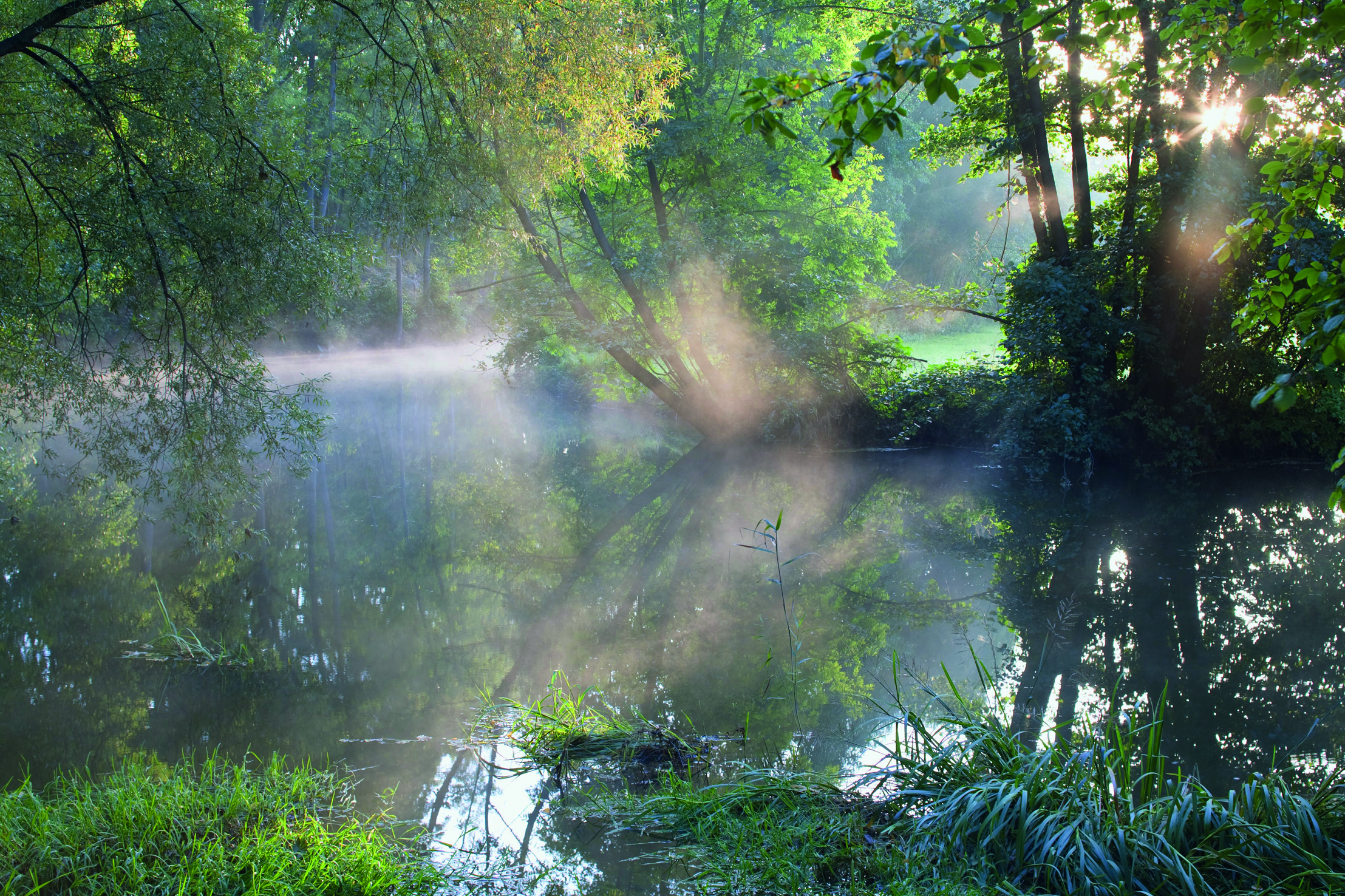 Thayatal National Park