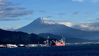 Shimizu Water Bus photo