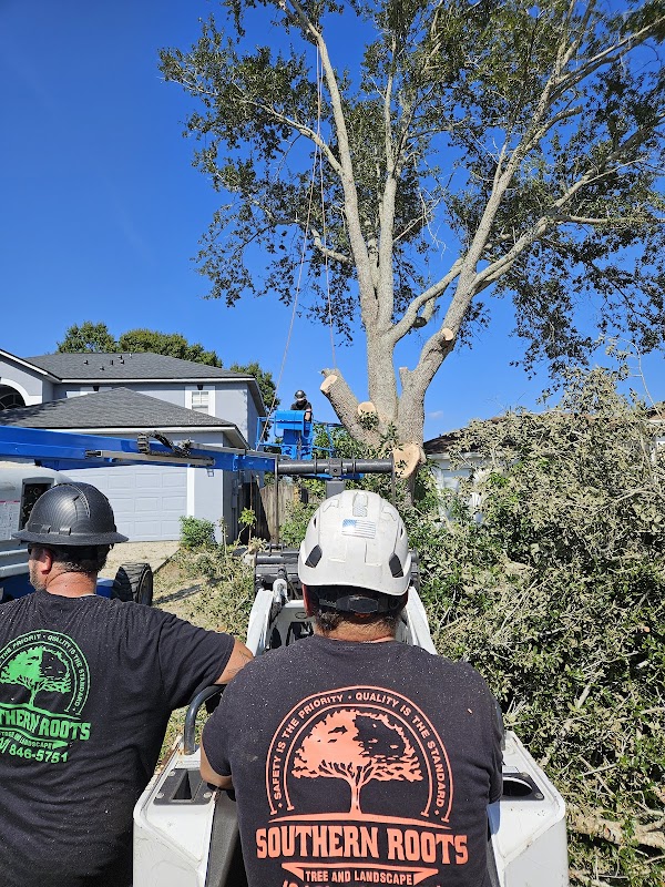 Professional crew in branded Southern Roots shirts watching crane work
