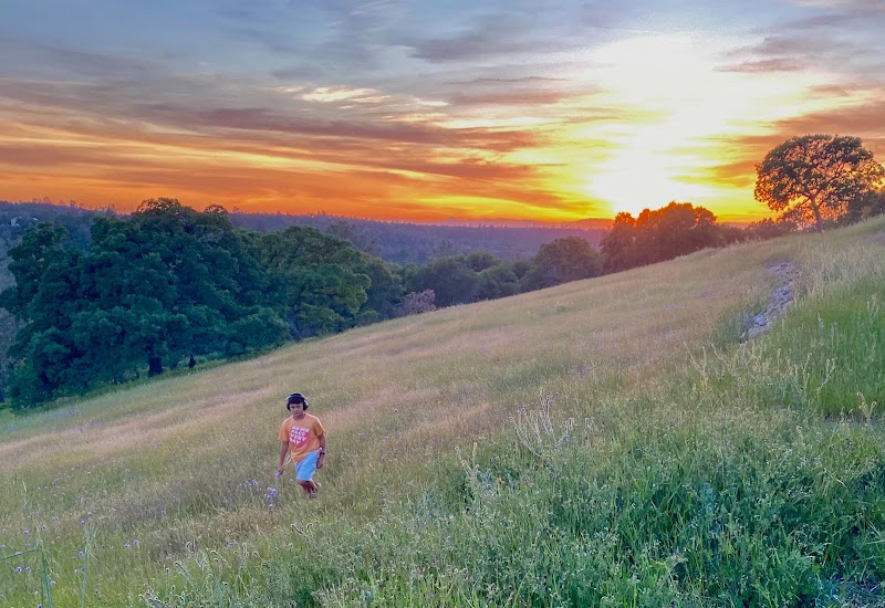 Wild Loon Winery (formerly Meade Hill Winery)