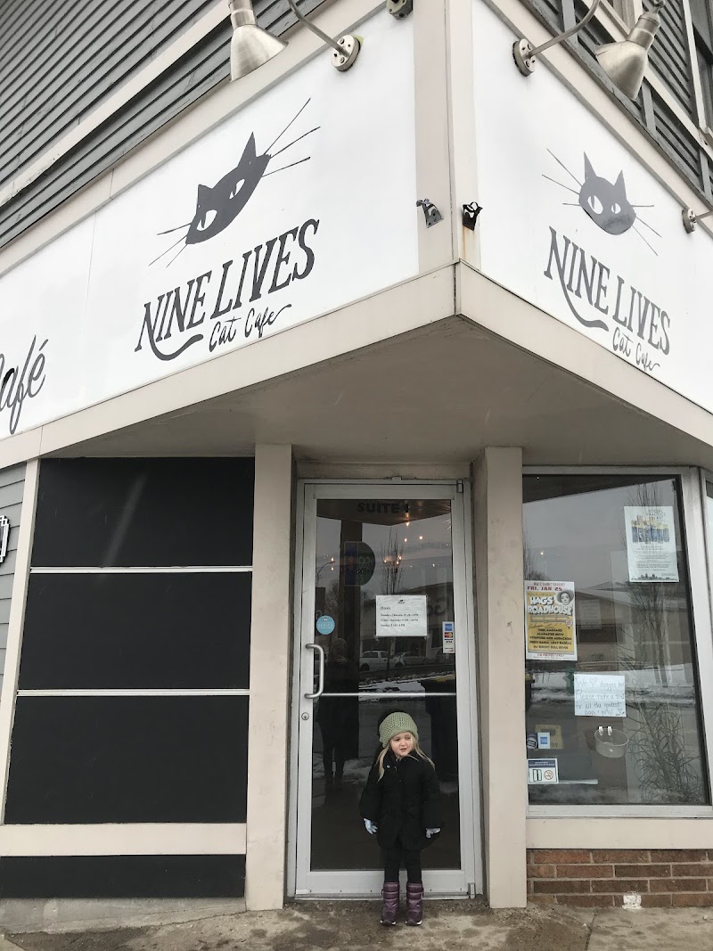 Nine Lives Cafe & Cat Lounge photo 3