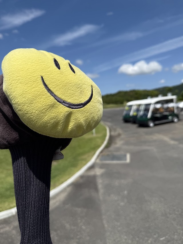 Sun Resort Country Club - Photo 10