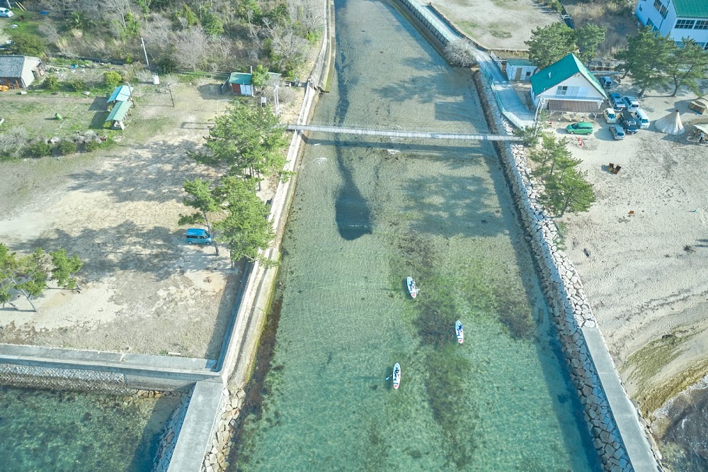 シマアソビ