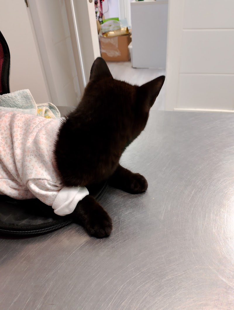 Clinica Veterinaria Tombola