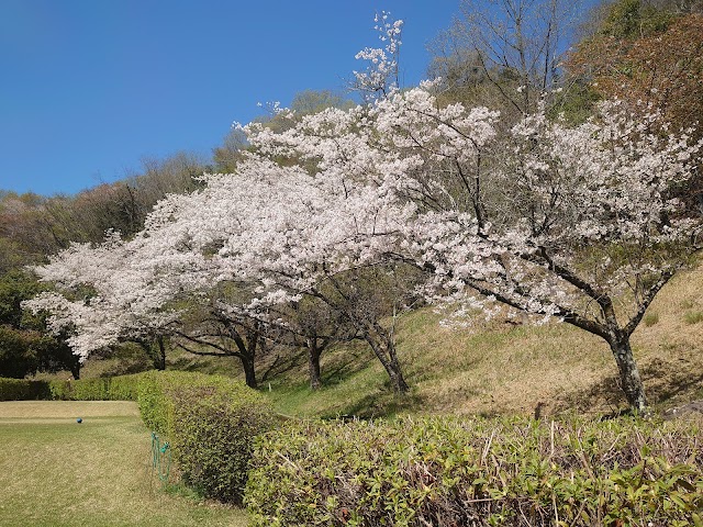 Sagami-no Country Club - Photo 8