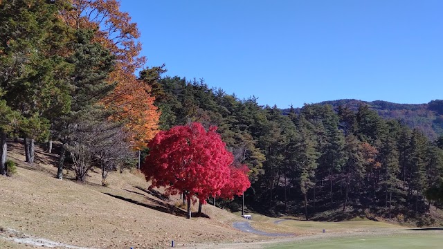 Iida Country Club - Photo 10
