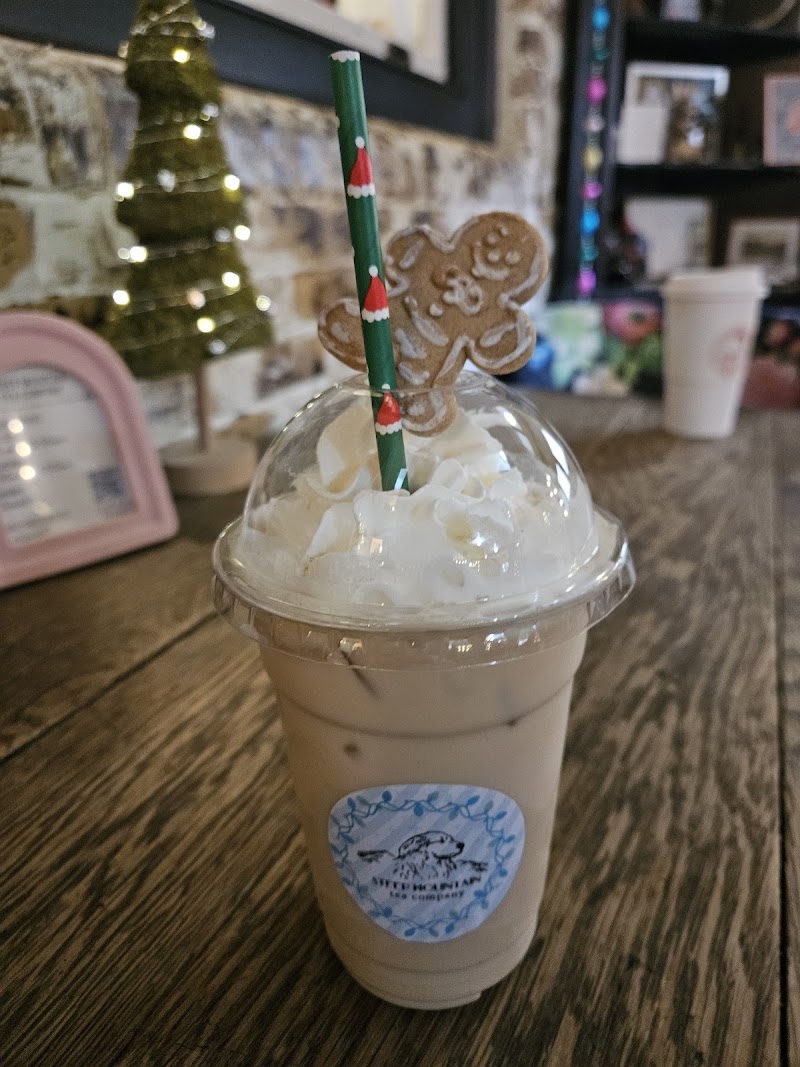 Steep Mountain Tea Company photo 4