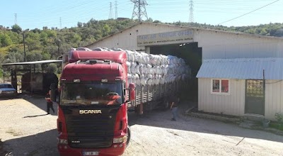 TANLAR KÖMÜR- KONAKLİ DEPO - Nakliyat