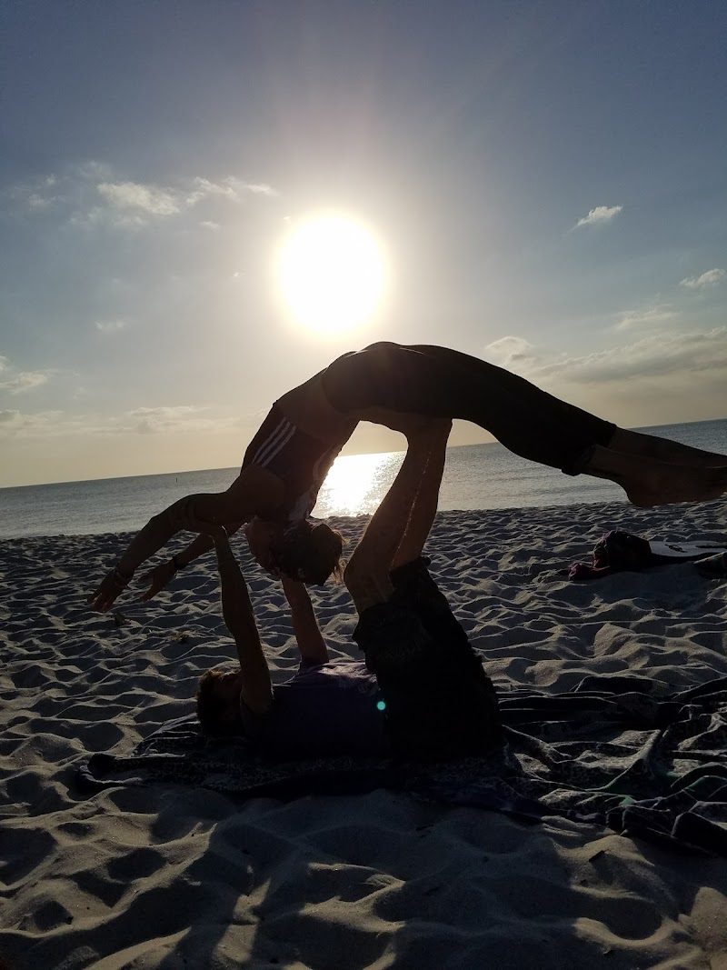 The Wellness Facilitator