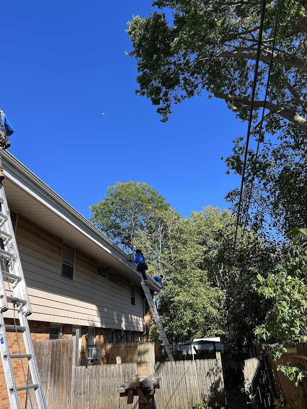 Top Notch Roofing & Exteriors, INC. photo 3