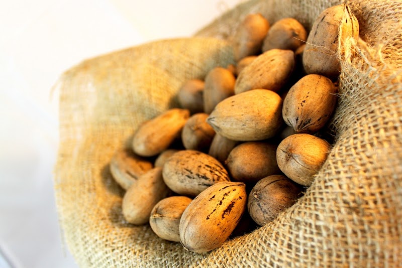 Superior Pecans & Gifts photo 2