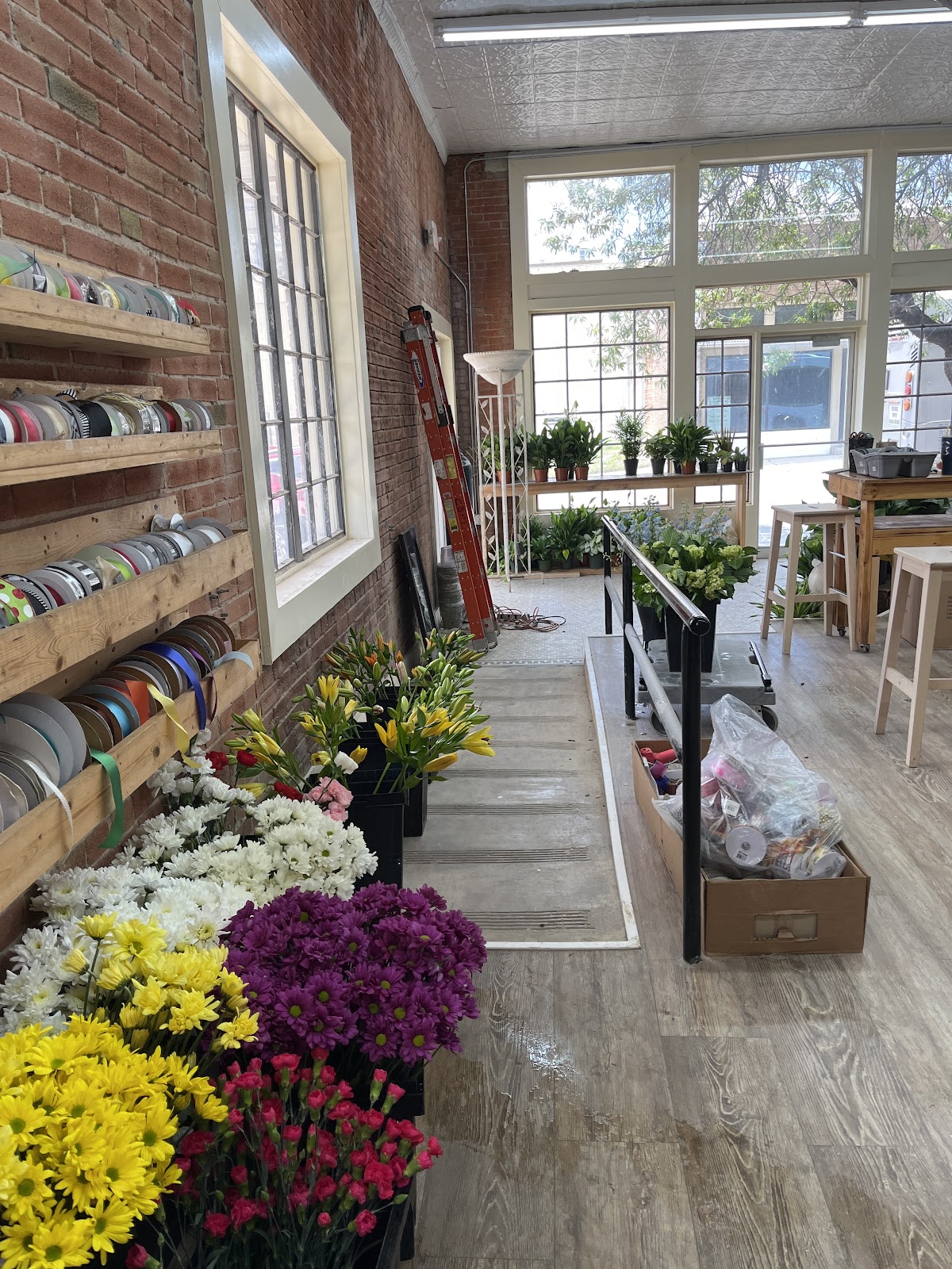 Artistic Blooms: Google Places image 5
