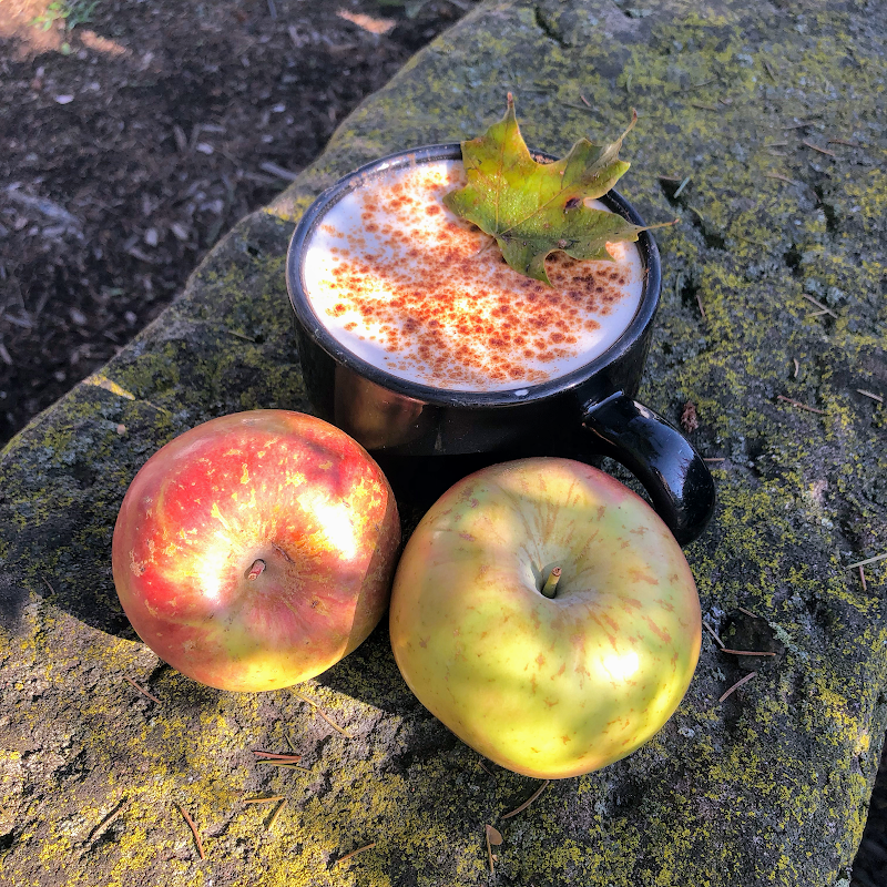 Wiggin Street Coffee photo 2