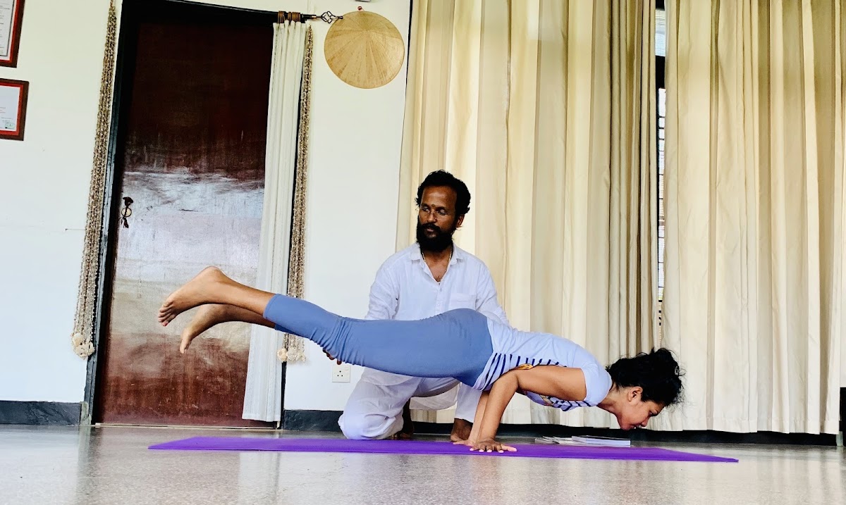 Raj Yoga international | Yoga Teacher Training | Yoga Courses | Yoga alliance — 4