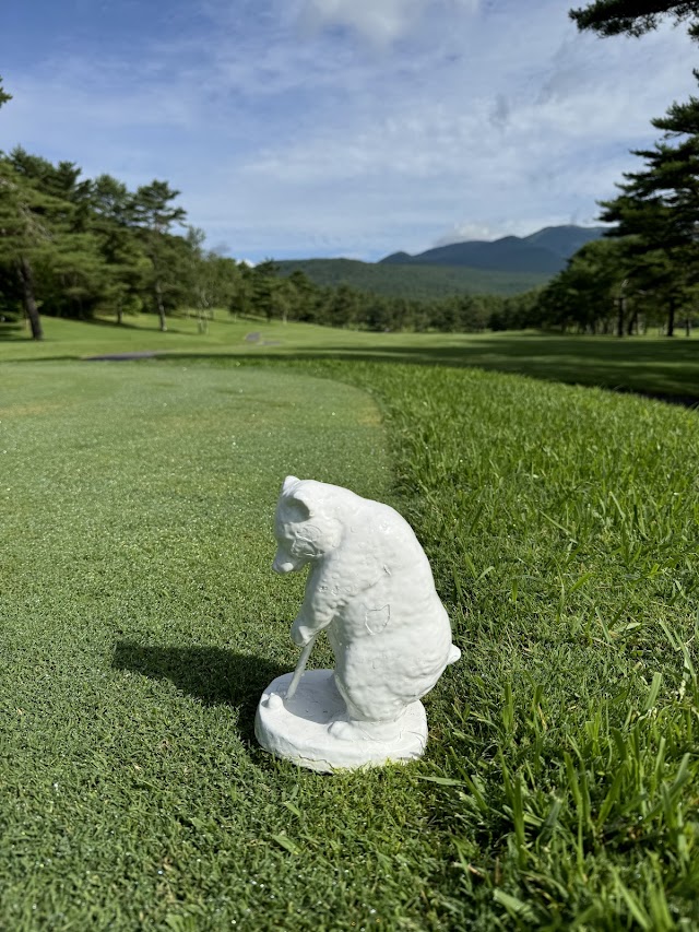 Tsumagoi Kogen Golf Course - Photo 3