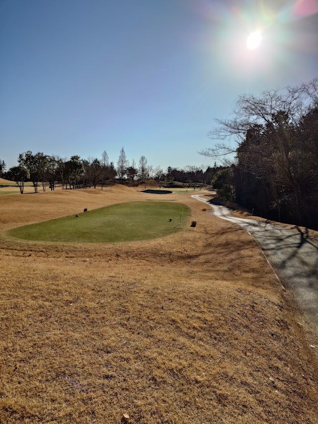 Azalea Hills Country Club - Photo 2
