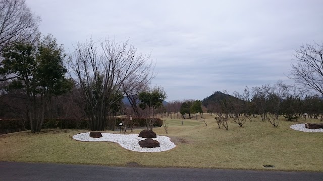 Azalea Hills Country Club - Photo 10