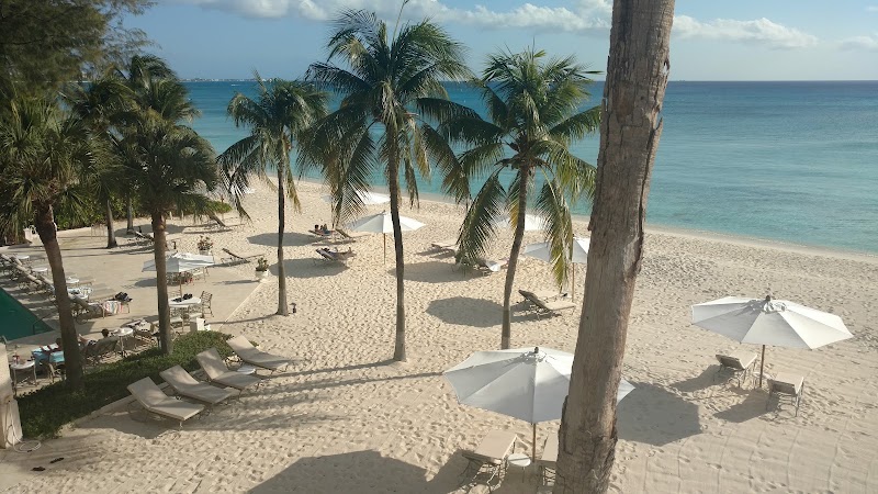 Sotheby's International Realty Cayman photo 3