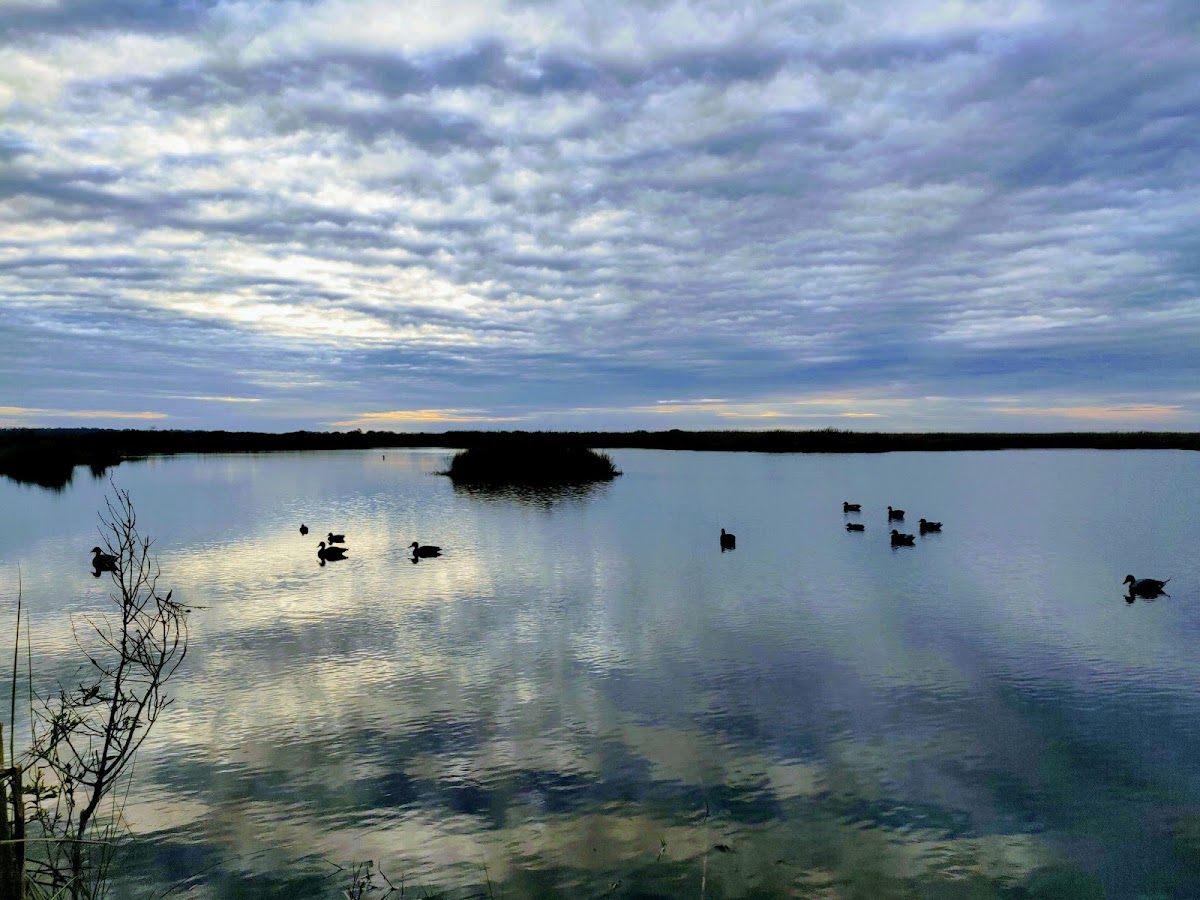 Bel's Hackberry Hunting Lodge