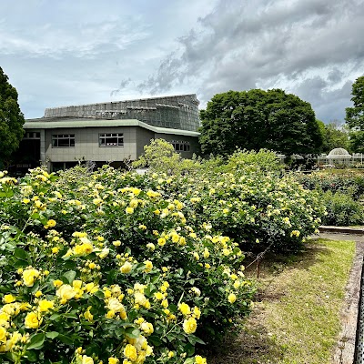 Odawara Flower Garden - 4