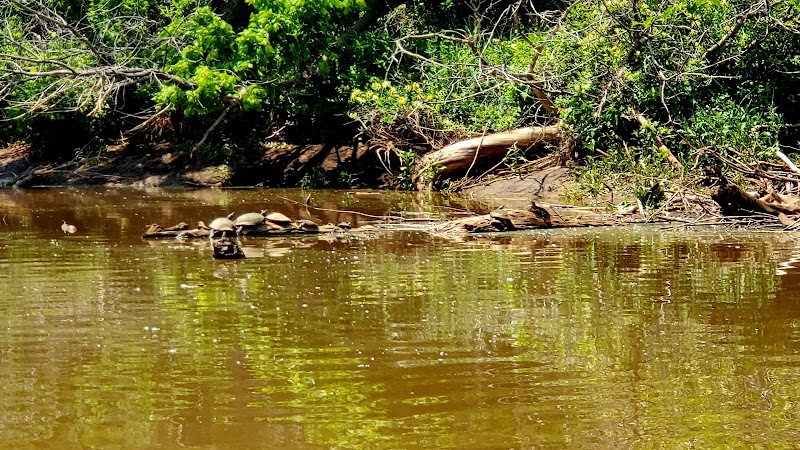 Stinchcomb Wildlife Refuge - Photo 6
