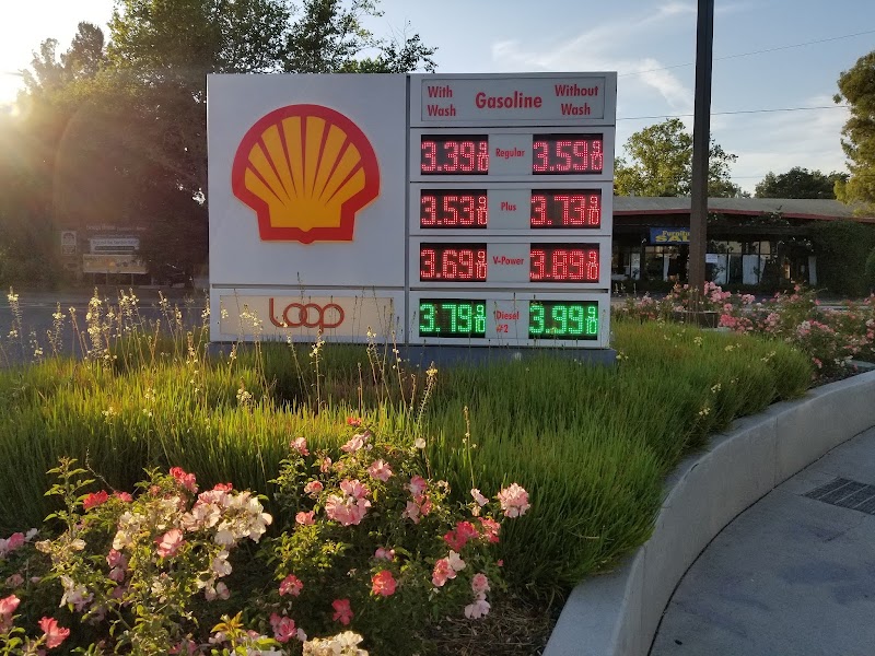 Shell photo 3