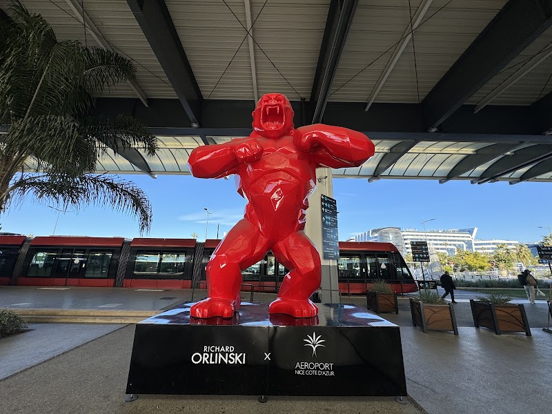 HQ - Nice, Aéroport Arénas