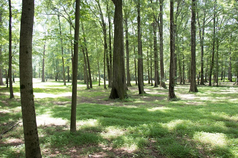 Louise Suggs Memorial Park photo 2