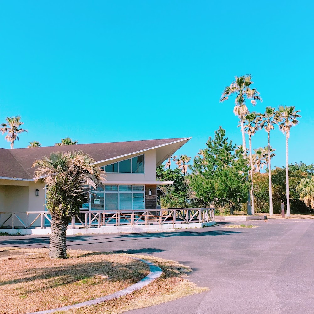 指宿エコキャンプ場